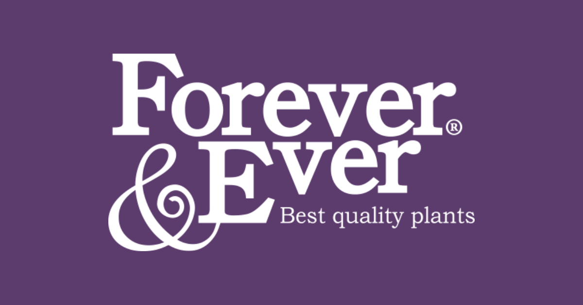 Forever & Ever - de beste selectie tuinplanten - Forever&Ever   Forever&Ever BV