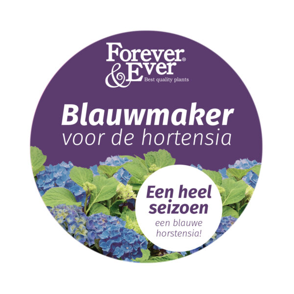 Hortensia Blauwmaker
