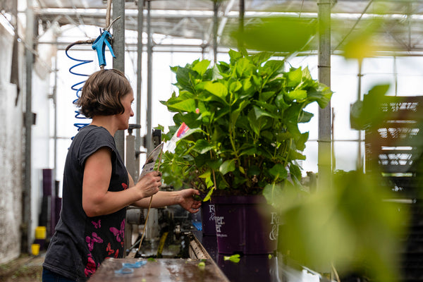 Passie voor Kwaliteit