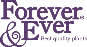 Forever&Ever® BV