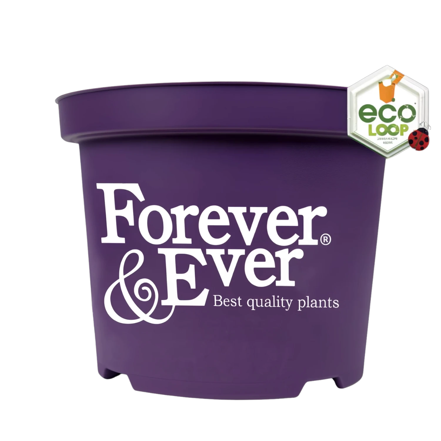 Duurzame paarse pot